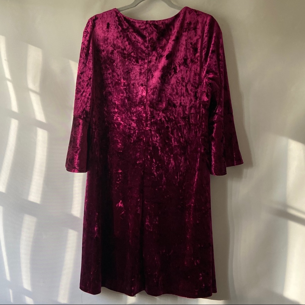 Eliza J Berry Crushed Velvet Bell Sleeve Dress - Picture 6 of 6